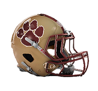 Citronelle Helmet.png